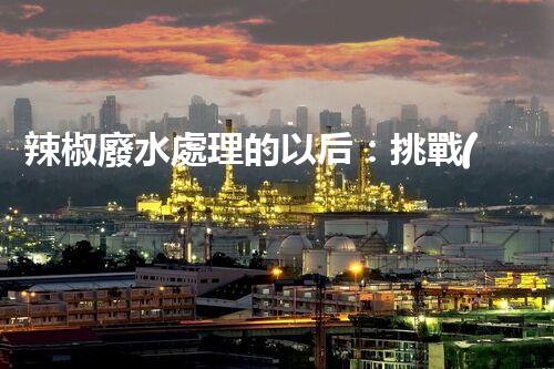 辣椒廢水處理的以后：挑戰(zhàn)與機(jī)遇并存！